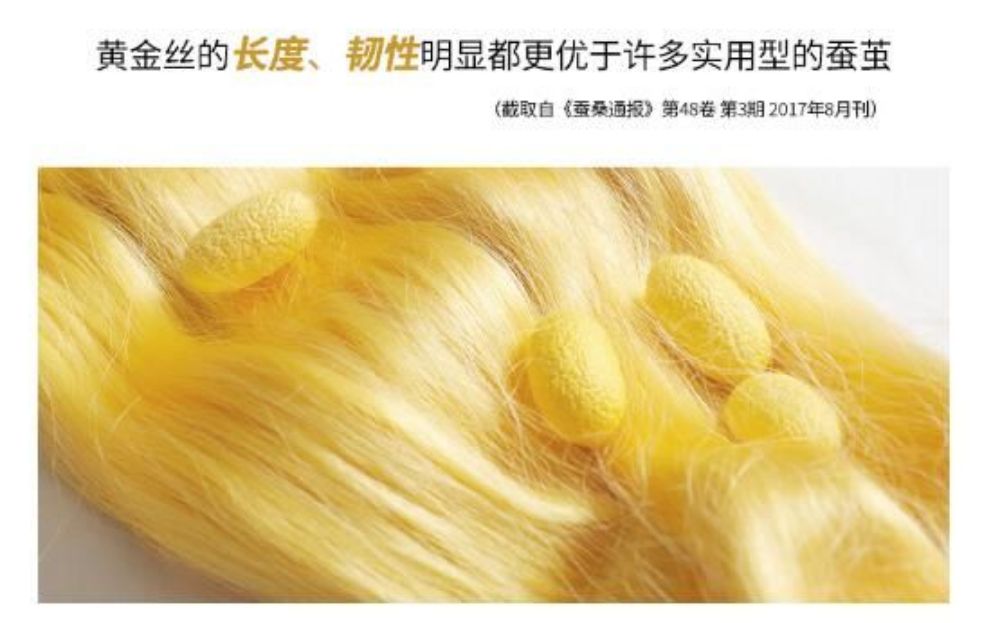 Picture of Customized Gold Cocoon Silk Duvet [1000g/1500g]
