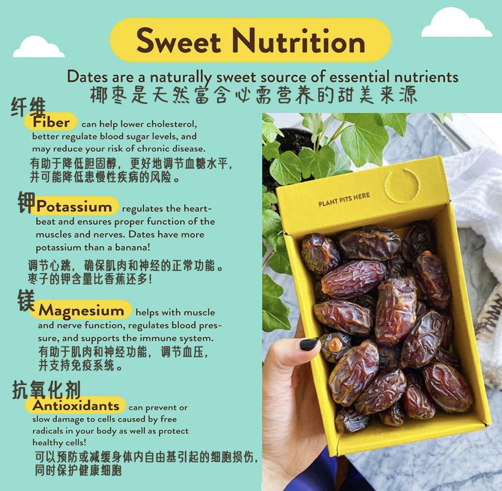 Picture of Sweet Nutrition - Organic Coconut Jujube Syrup